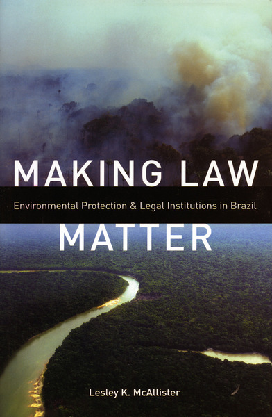 Cover of Making Law Matter by Lesley K. McAllister