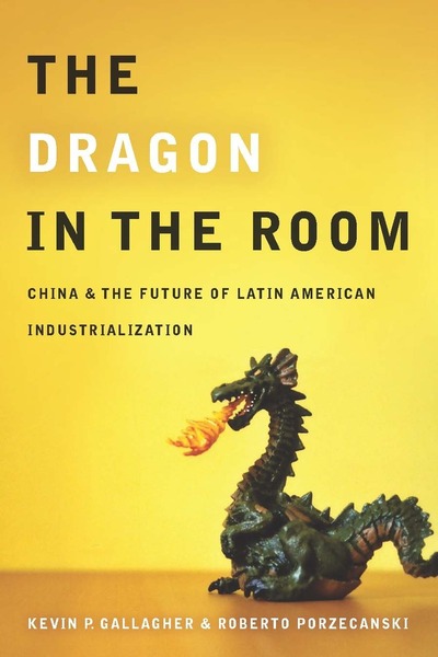 Cover of The Dragon in the Room by Kevin P. Gallagher and Roberto Porzecanski