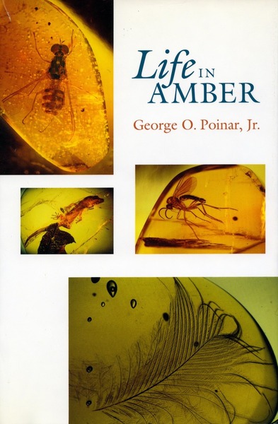 Cover of Life in Amber by George O. Poinar, Jr