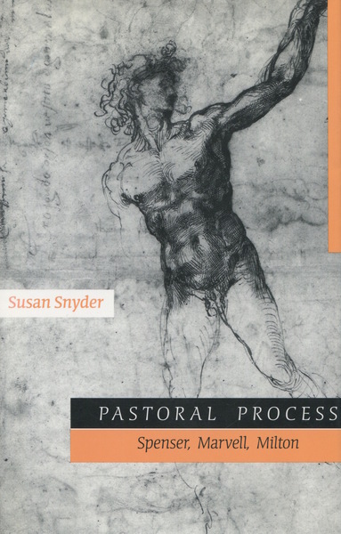 Cover of Pastoral Process by Susan Snyder