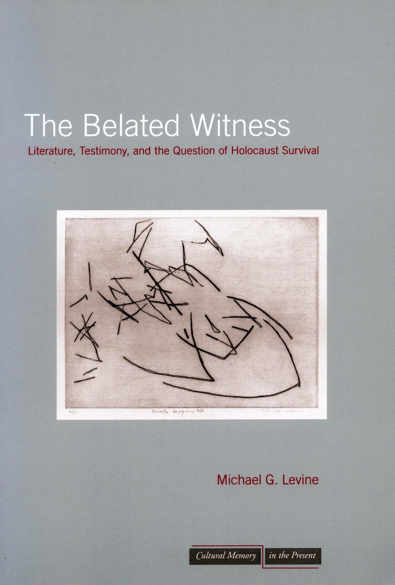 'The Belated Witness' Book Cover