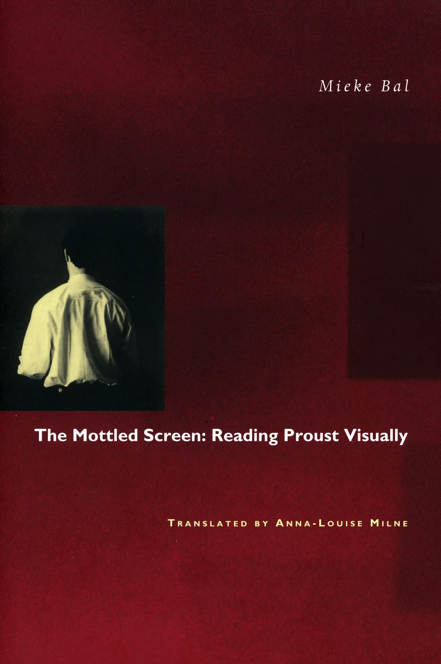 'The Mottled Screen' Book Cover