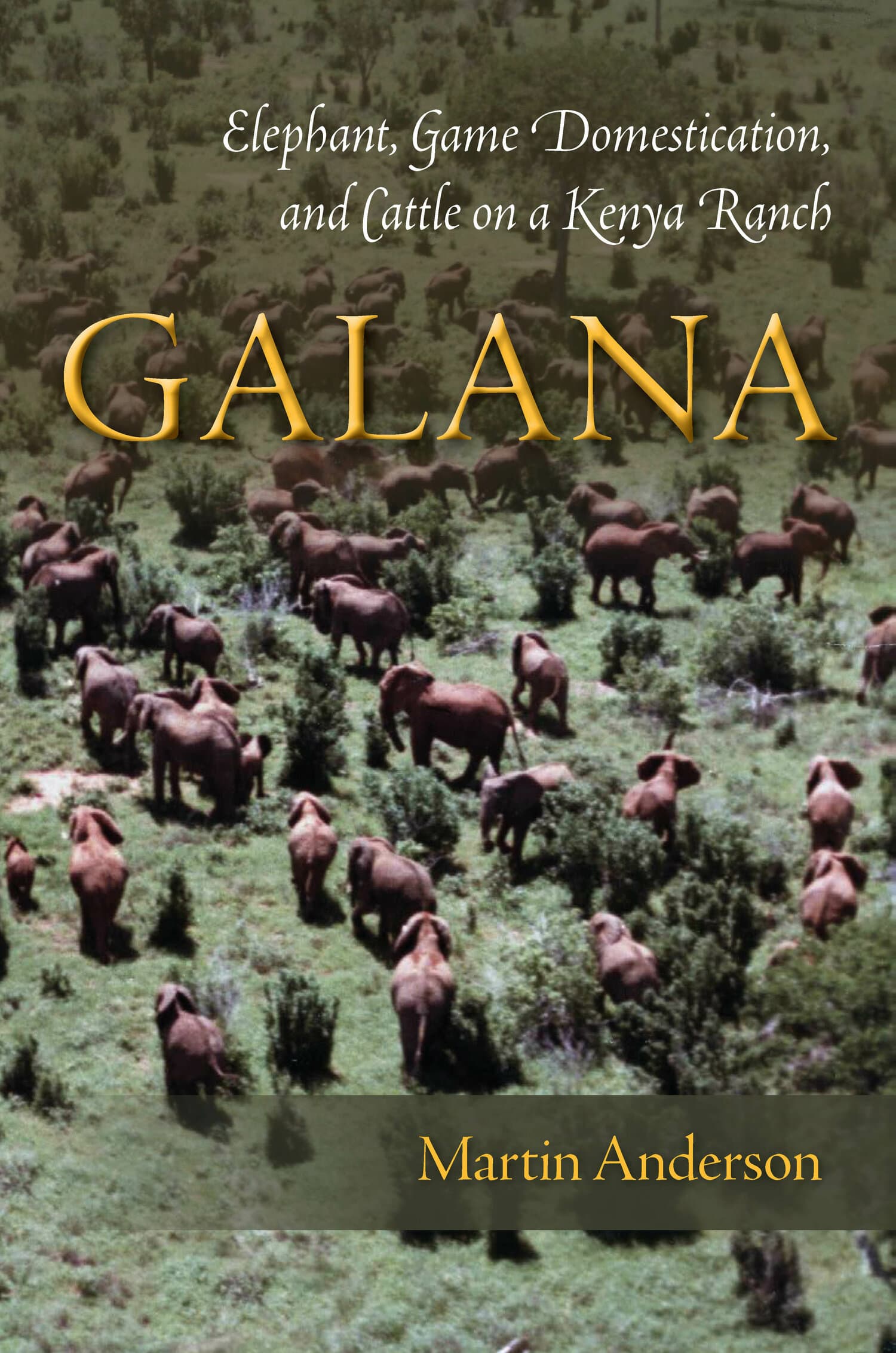 'Galana' Book Cover