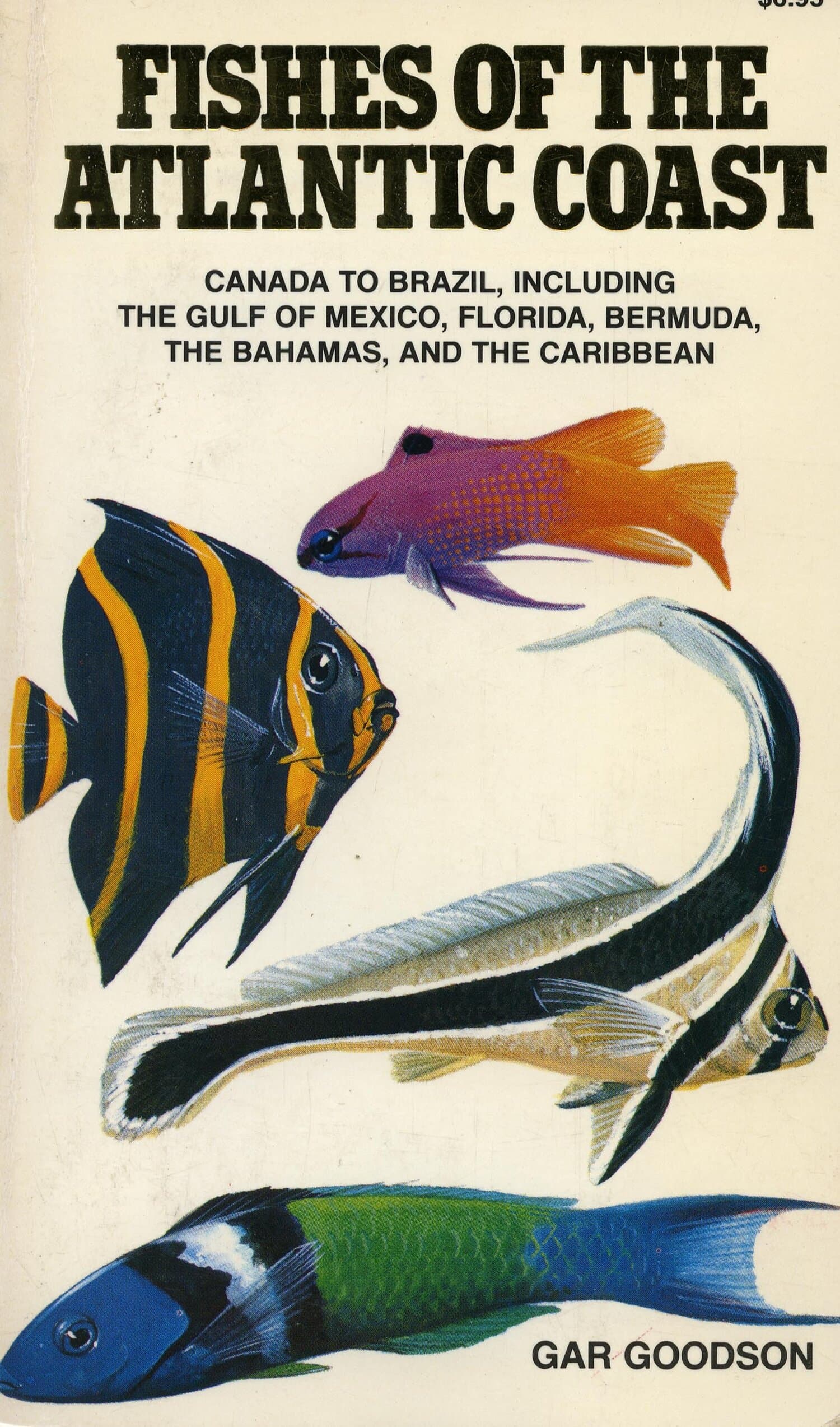 'Fishes of the Atlantic Coast' Book Cover