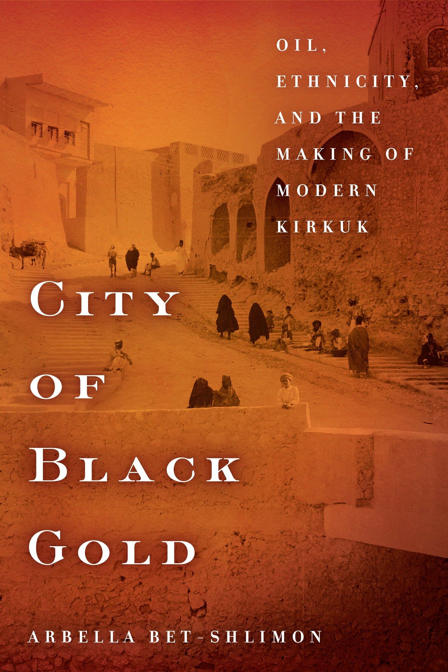 'City of Black Gold' Book Cover