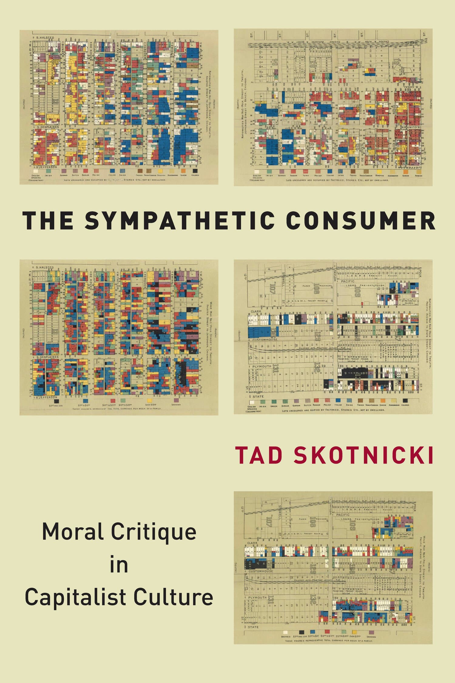 'The Sympathetic Consumer' Book Cover