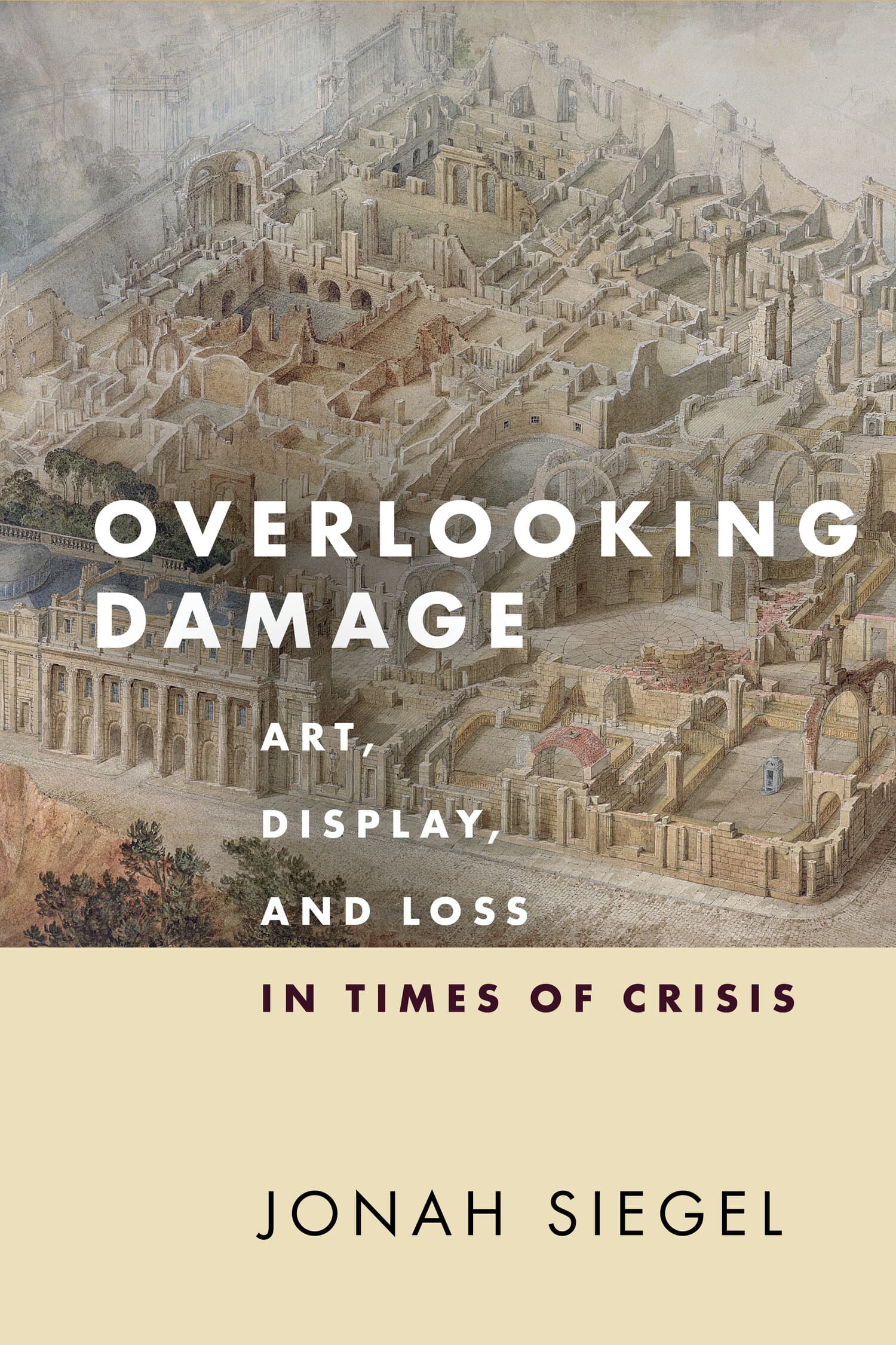 'Overlooking Damage' Book Cover