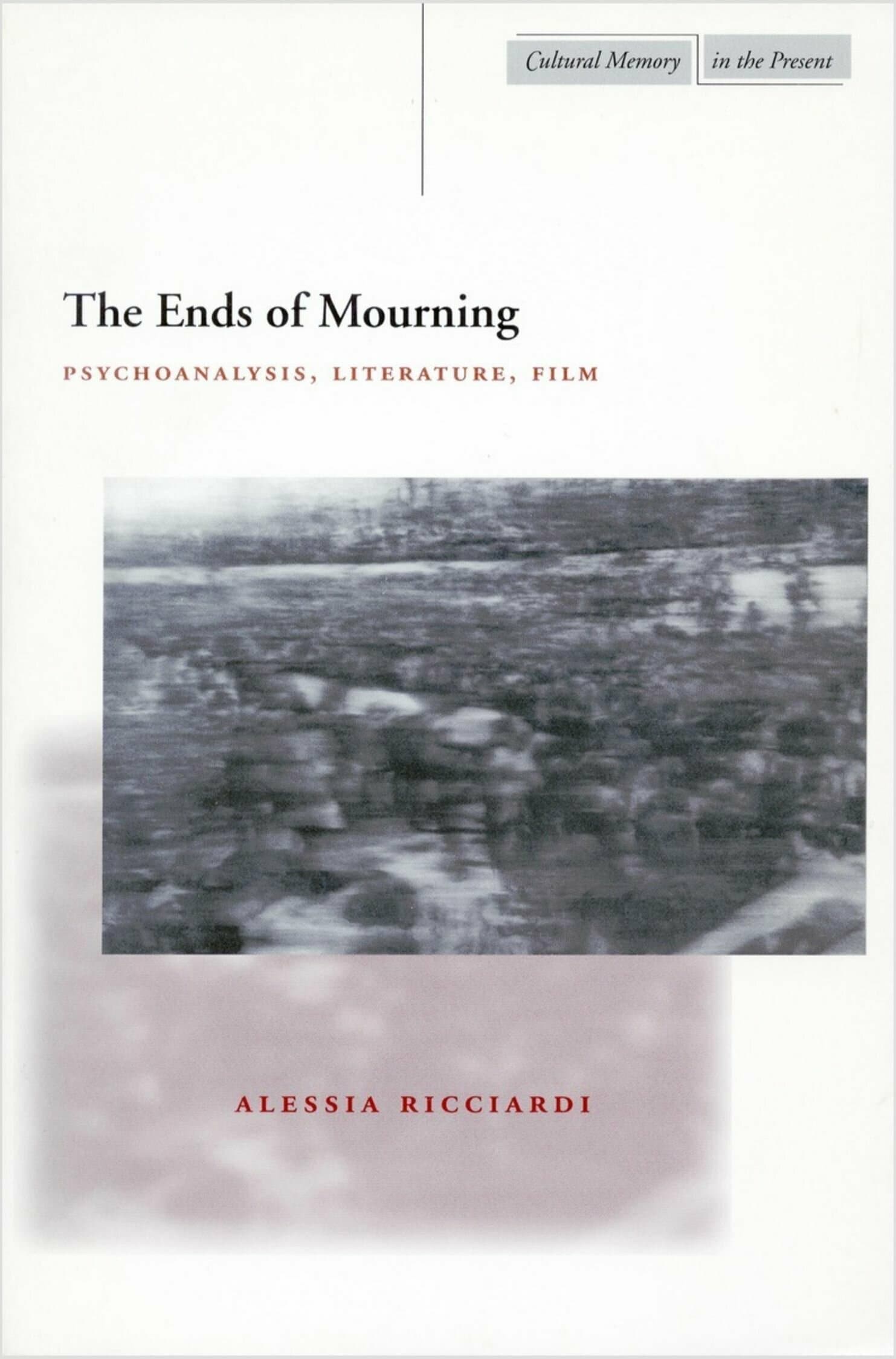 'The Ends of Mourning' Book Cover