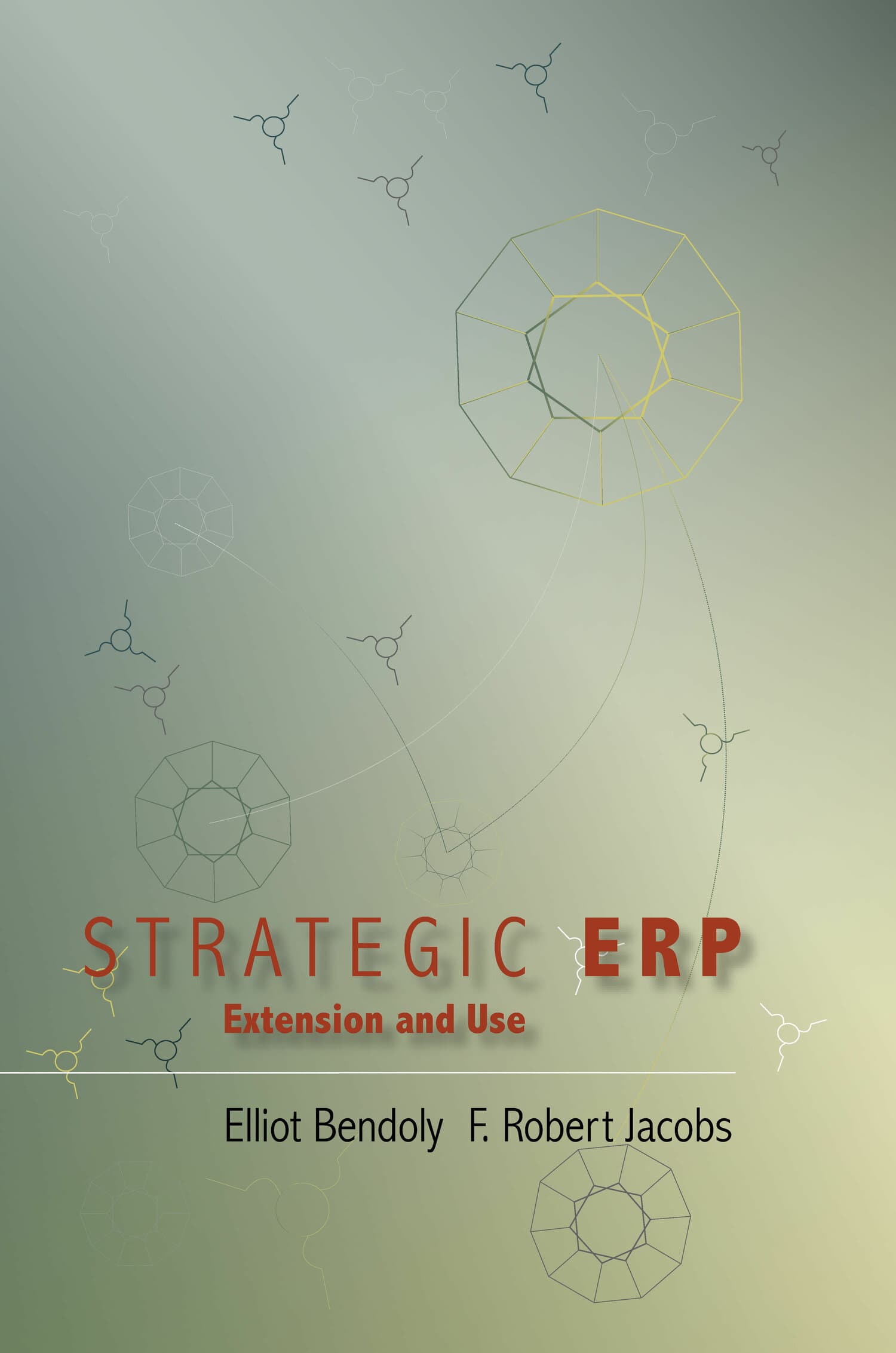 'Strategic ERP Extension and Use' Book Cover