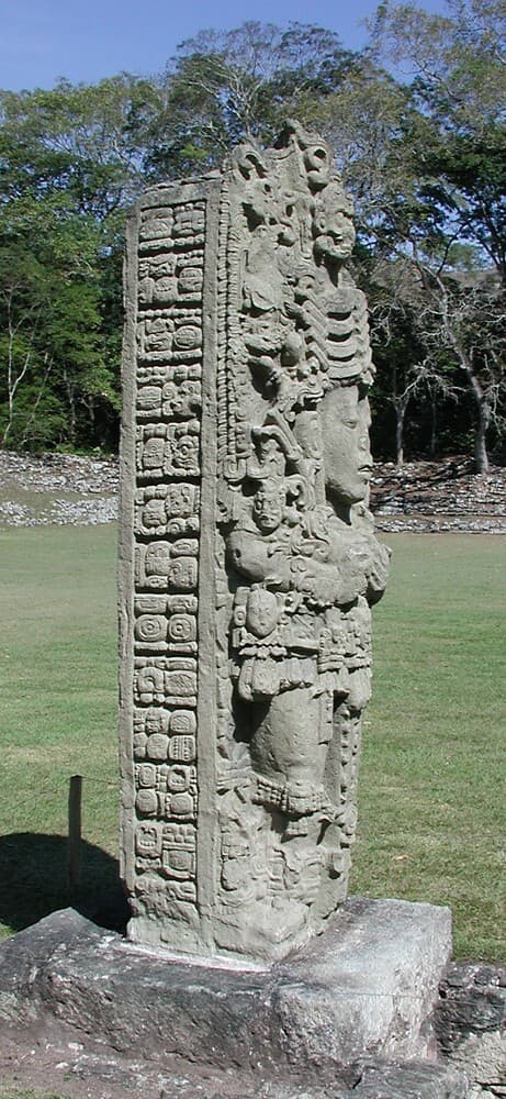 An ancient Mayan stela featuring detailed carvings of a human figure adorned with elaborate headdress and attire on one side, and hieroglyphic inscriptions on the other, set against a forested backdrop.