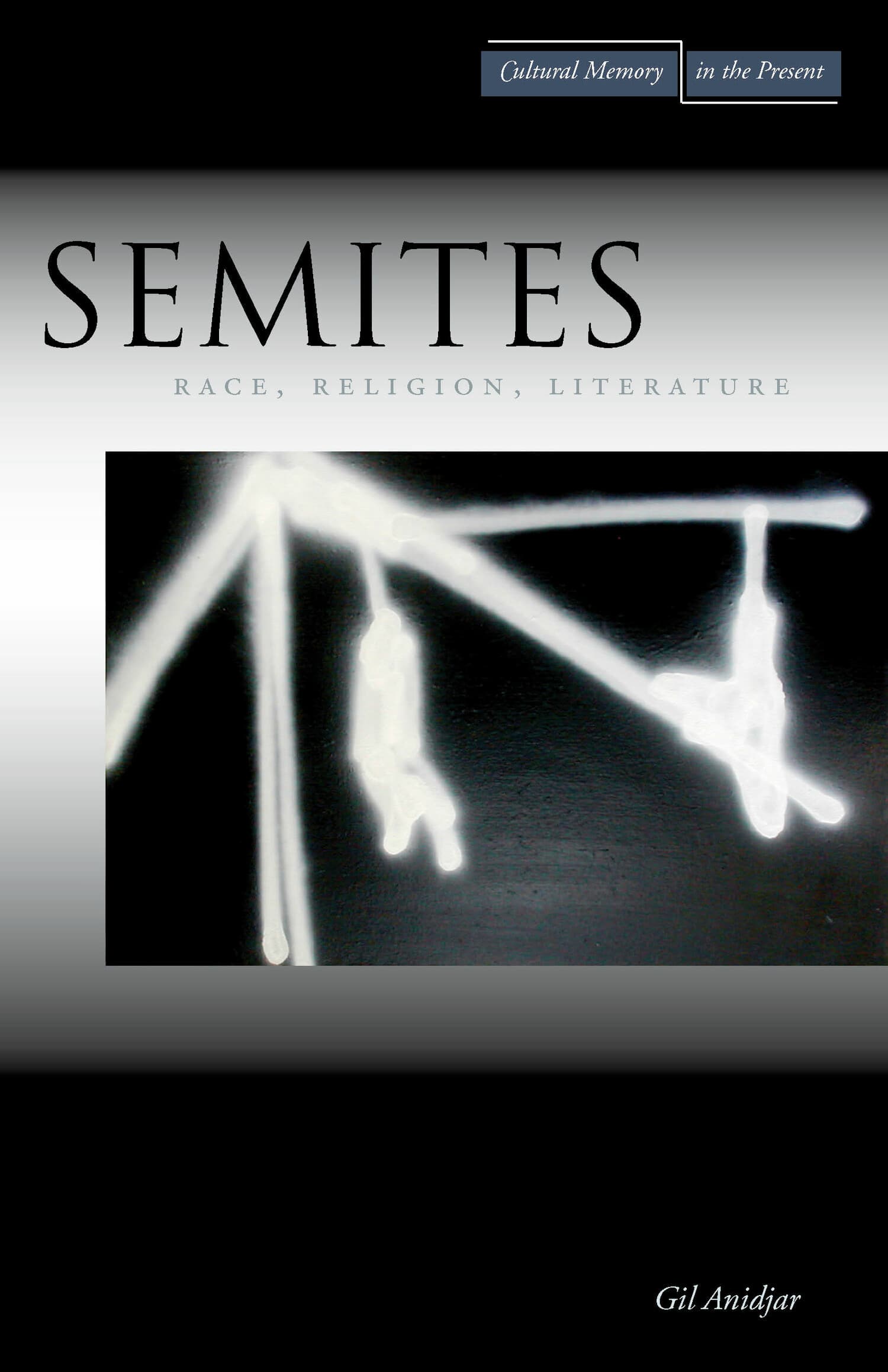 'Semites' Book Cover