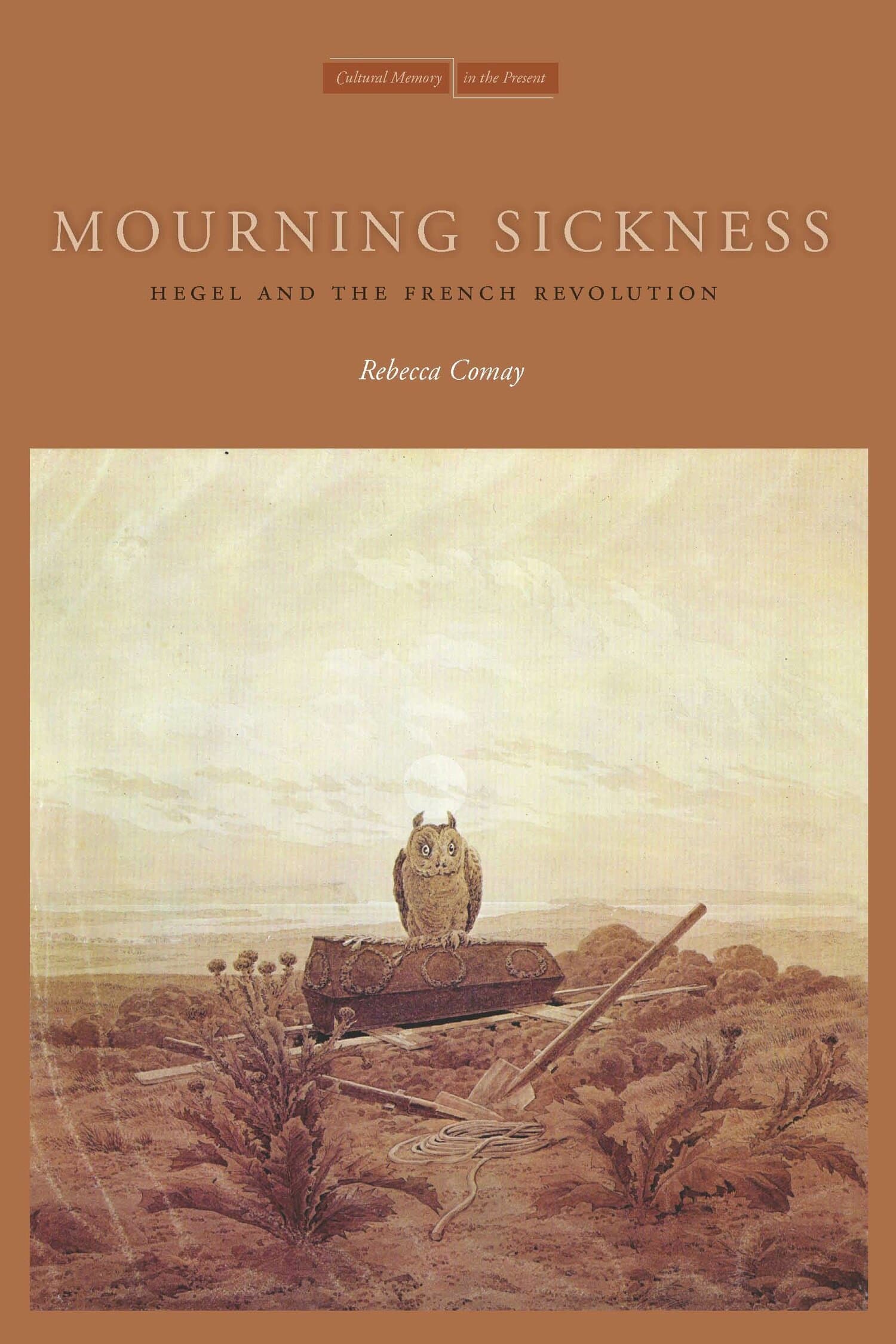 'Mourning Sickness' Book Cover