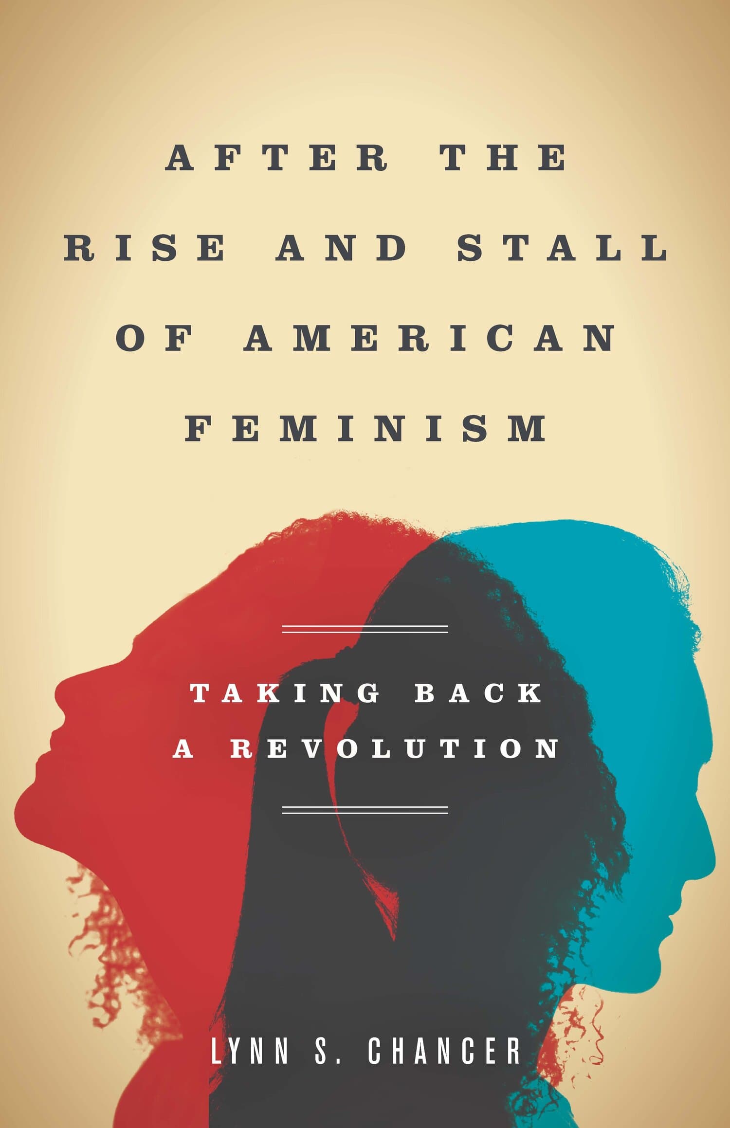 'After the Rise and Stall of American Feminism' Book Cover