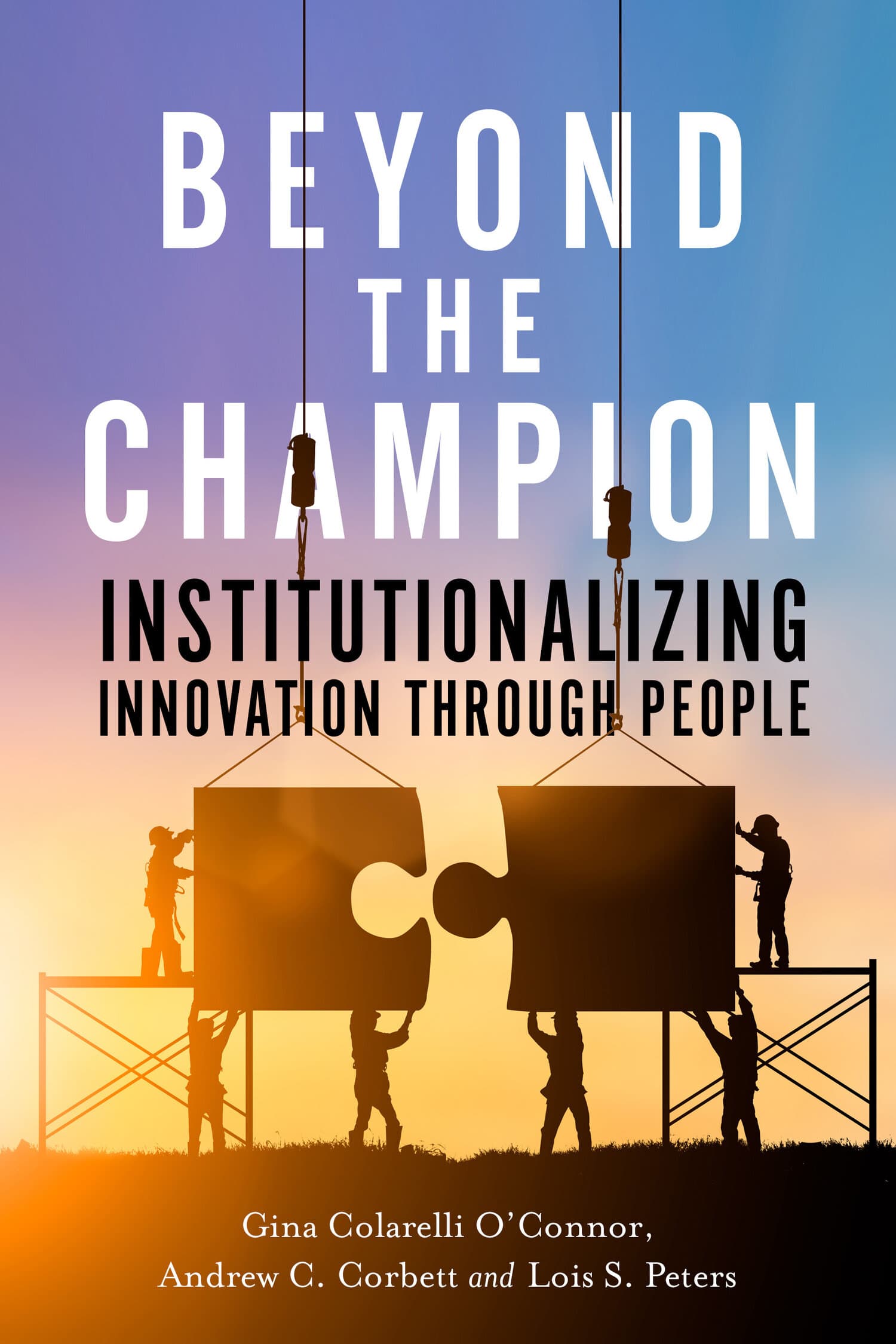 'Beyond the Champion' Book Cover