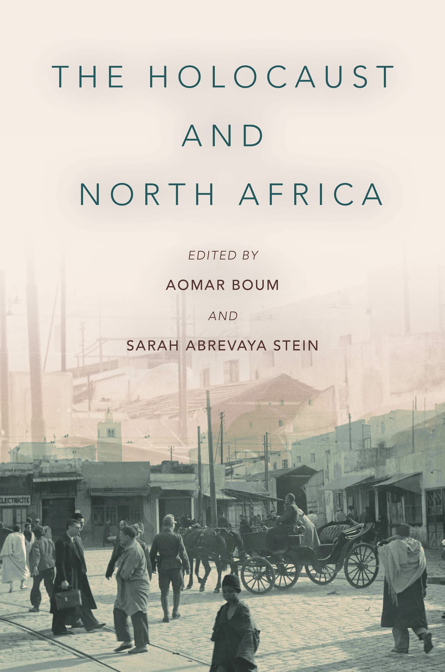'The Holocaust and North Africa' Book Cover