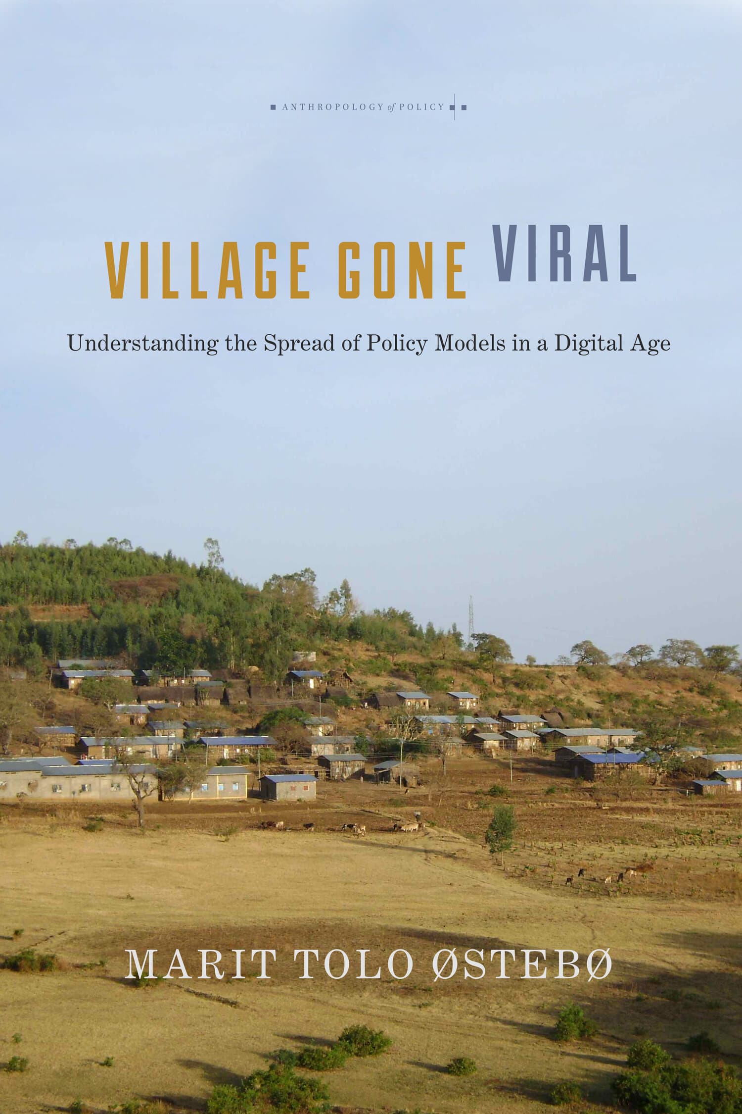 'Village Gone Viral' Book Cover
