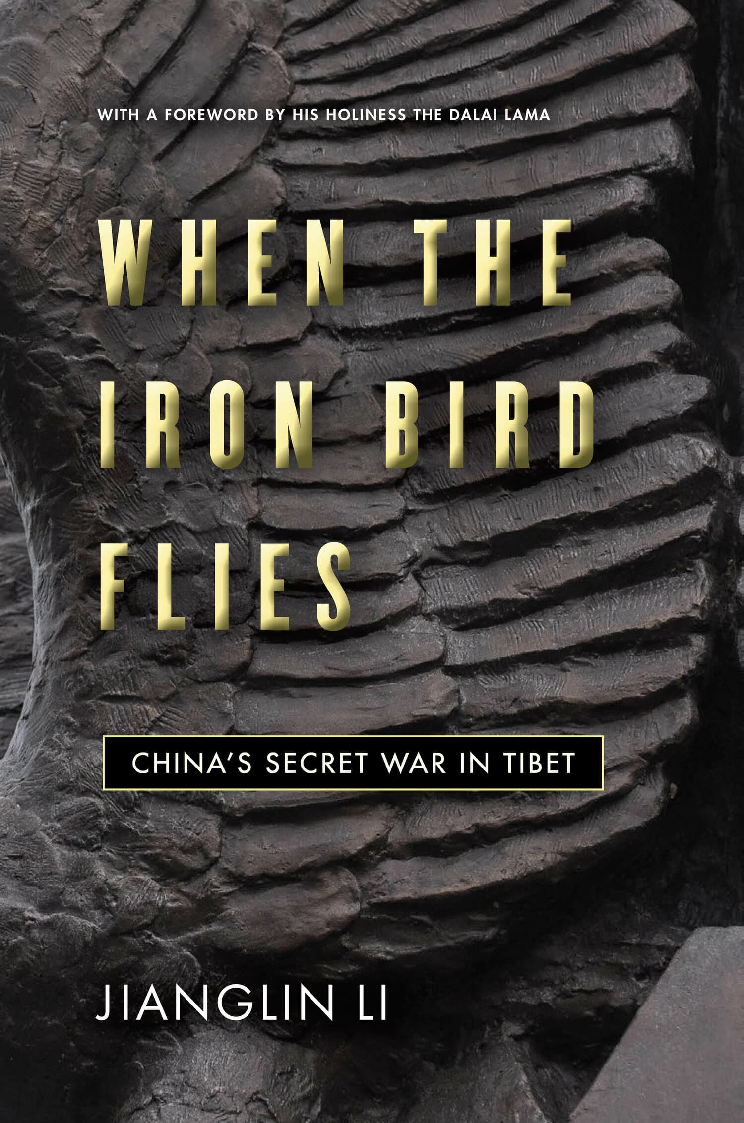'When the Iron Bird Flies' Book Cover