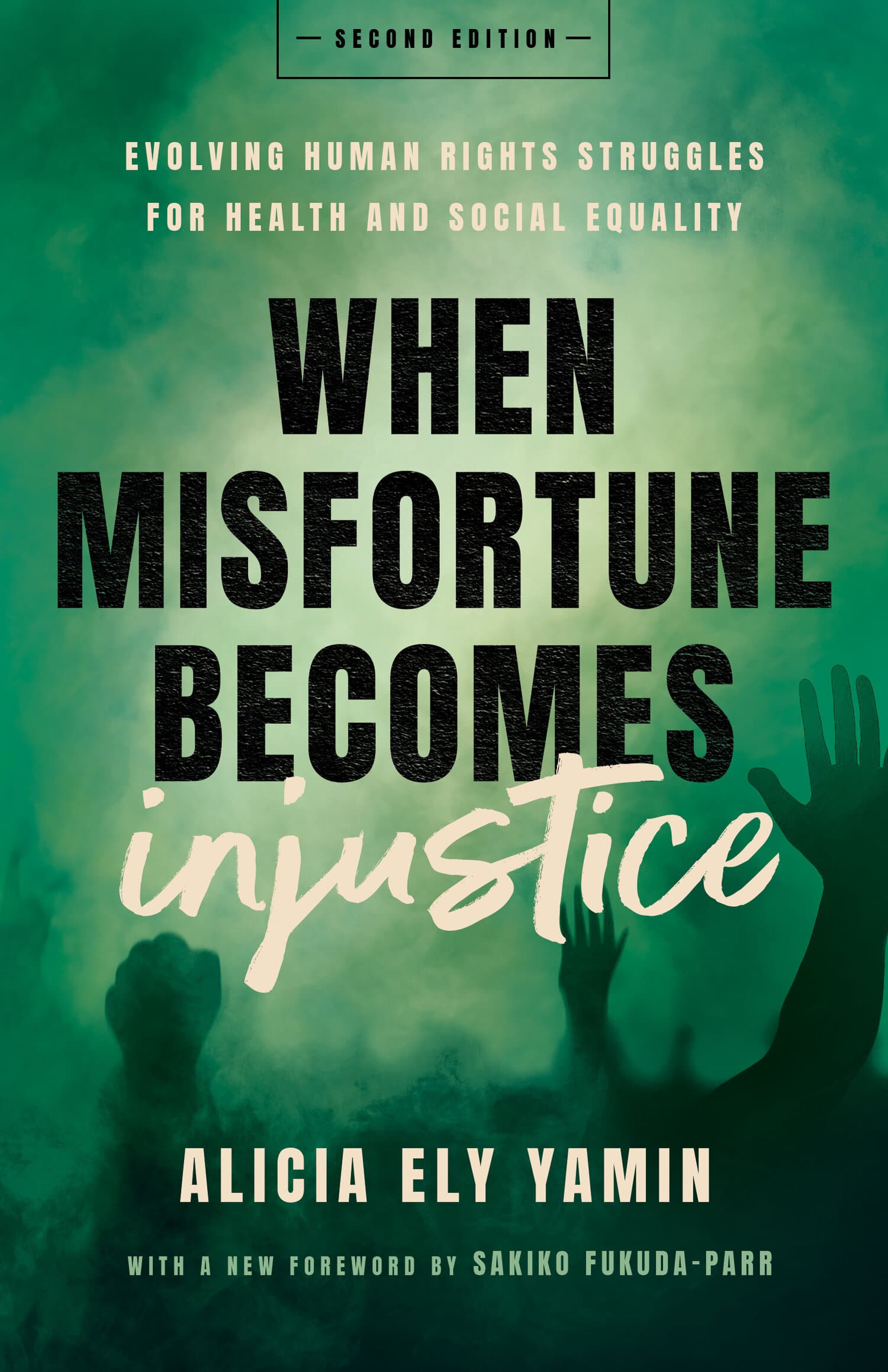 'When Misfortune Becomes Injustice' Book Cover