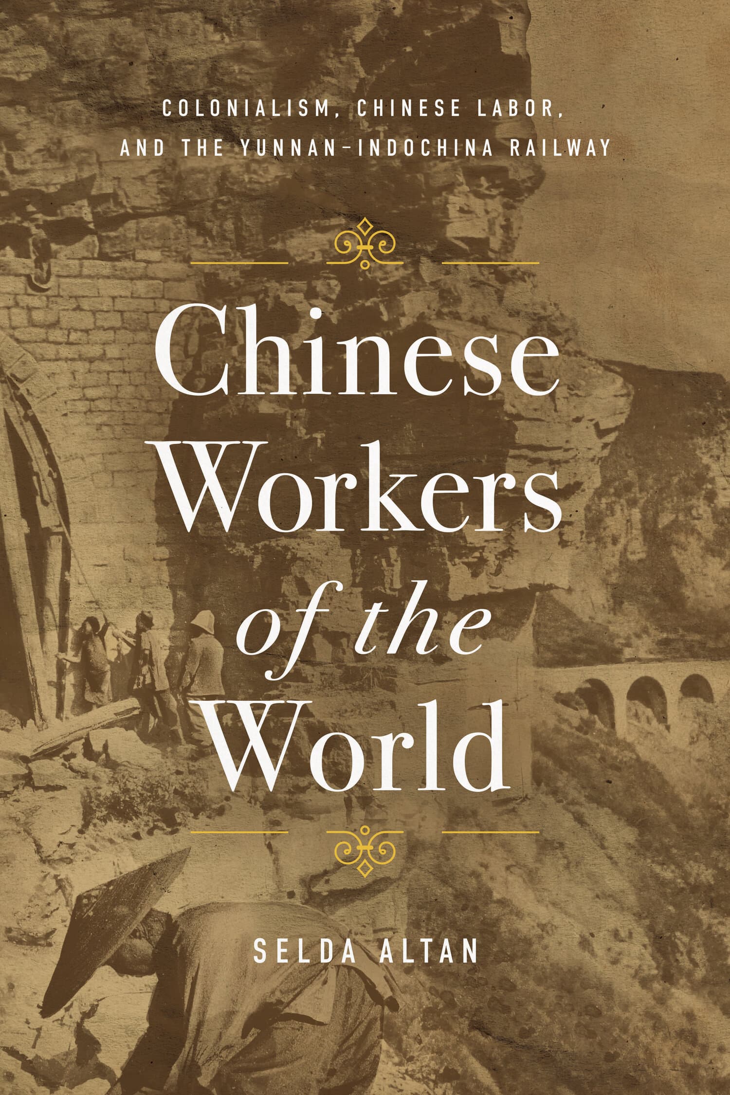 'Chinese Workers of the World' Book Cover