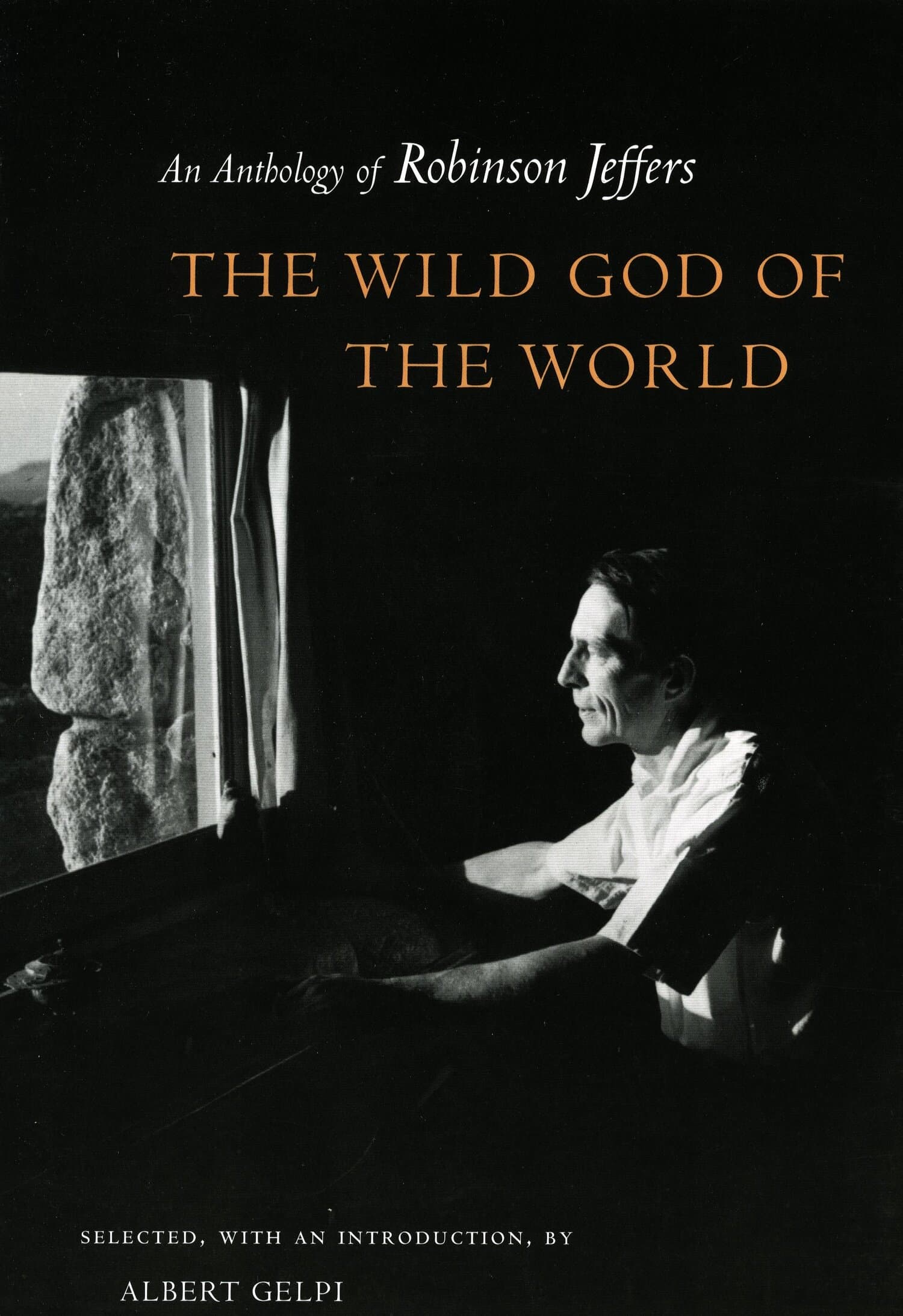 'The Wild God of the World' Book Cover